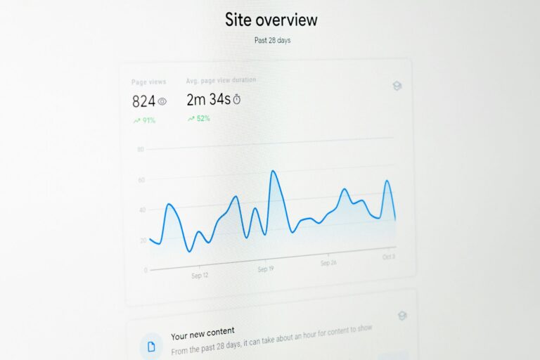 google analytics site overview