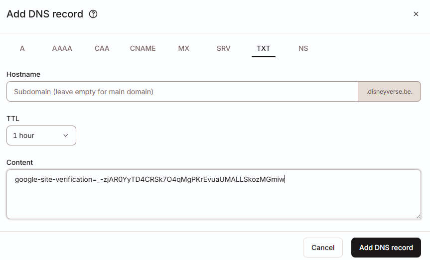 toevoegen van txt record voor verificatie van google search console