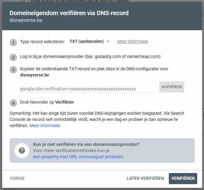google search console domein verificatie via txt record