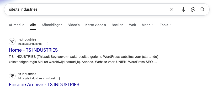 google search met site parameter
